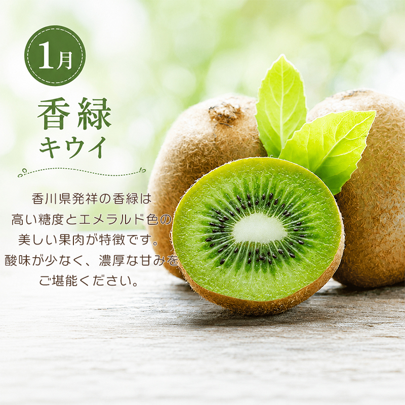 定期便 3回 いちご 苺 みかん キウイ 小原紅早生 香緑 さぬき姫 旬 季節 秋 果物 フルーツ 旬 旬のフルーツ 贈答用 ギフト プレゼント 香川県 丸亀市 香緑&さぬき姫&小原紅早生（31,00