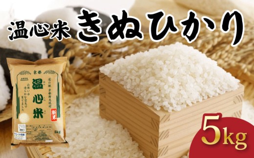 令和7年産 キヌヒカリ 精米 5kg 温心米 きぬひかり 白米 国産 米 こめ コメ お米 おこめ ご飯 ごはん 白飯 ふるさと納税米 京都 京都府 南丹 R7 2025年産
