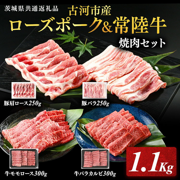 【ふるさと納税】古河市産ローズポーク＆常陸牛『焼肉セット』〈茨城県共通返礼品〉| 肉 牛肉 豚肉 国産 ブランド 冷凍 BBQ 焼肉 小分け 牛バラ 豚バラ カルビ ロース 牛モモロース 肩ロース 食べ比べ バラ 詰め合わせ ギフト 贈答 贈り物 お中元 お歳暮 プレゼント _AD10