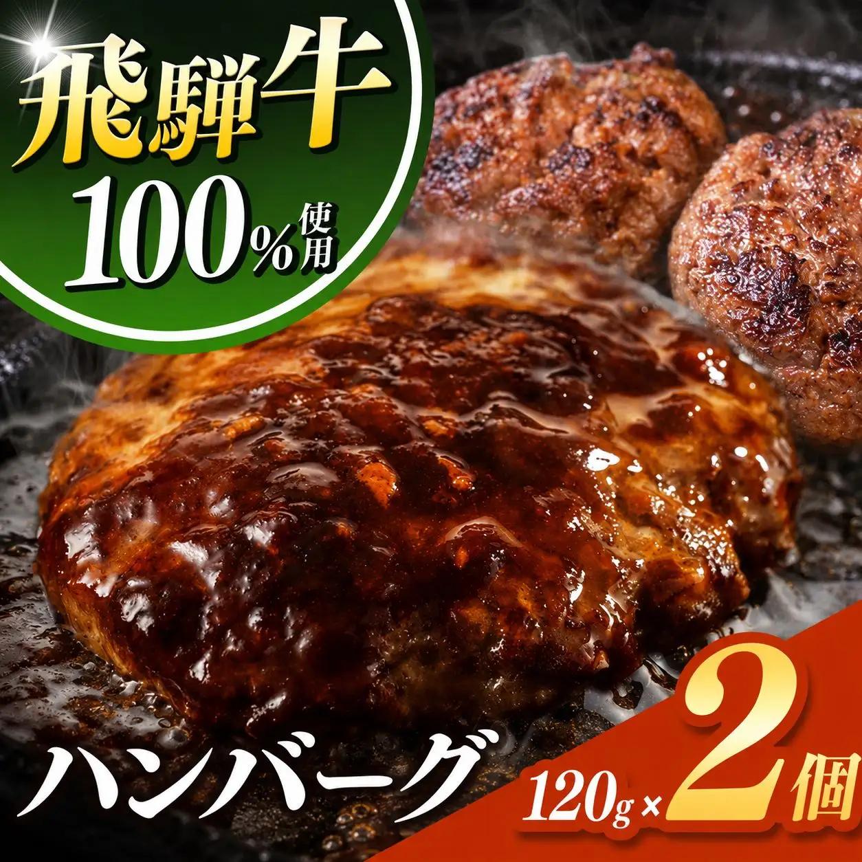 飛騨牛 100% ハンバーグ 120g 2個