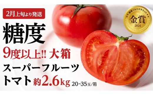 
                  《 2026年収穫分 先行予約 》 糖度9度以上 スーパーフルーツトマト 大箱 約2.6kg × 1箱 (20～35玉/1箱) フルーツトマト ブランドトマト 野菜 ギフト 贈答 [BC001sa]
                