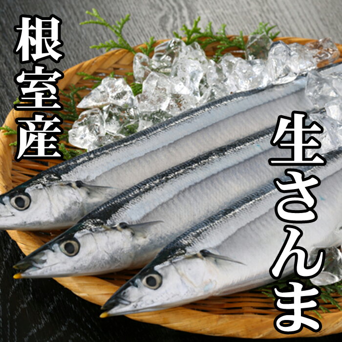 【ふるさと納税】[北海道根室産]さんま10尾〜60尾 サンマ 秋刀魚 生さんま 魚 サカナ さかな 北海道 根室市