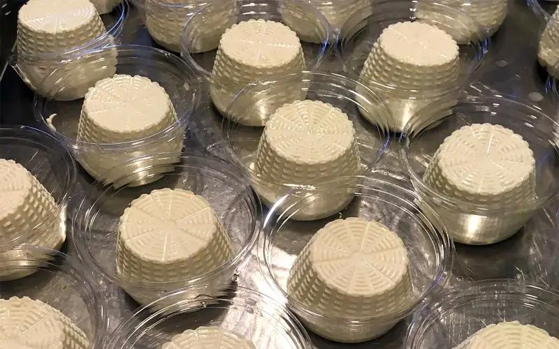 チーズ ジャージー牛ミルクのリコッタフレスカ 200g×2（保存料・安定剤不使用） 【ジャパンチーズアワード銀賞受賞】フレッシュチーズ 乳製品 ジャージー牛乳 フレッシュ リコッタ 蒜山 岡山県【ym