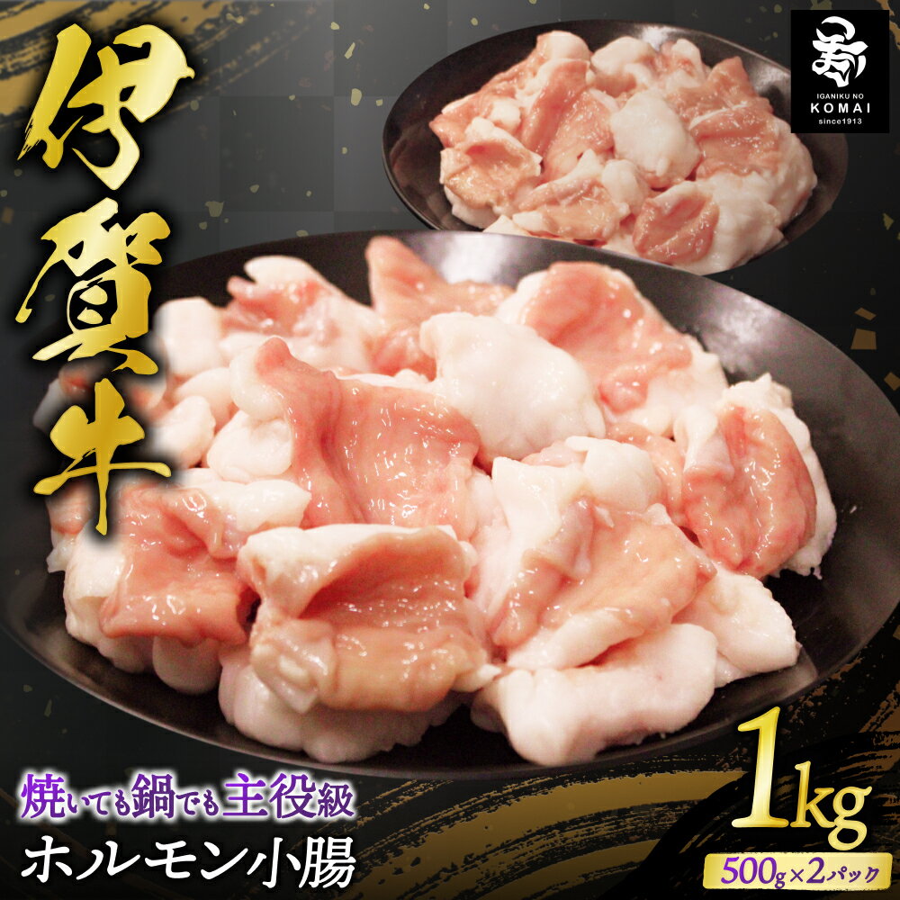【ふるさと納税】伊賀牛 ホルモン小腸 1kg（500g×2）