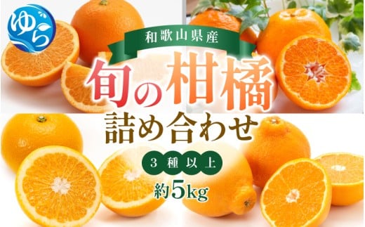＼来シーズン先行予約／旬の柑橘詰め合わせ（3種以上）約5kg【2026年2月初旬頃から順次発送予定】※北海道・沖縄・離島配送不可 / みかん 蜜柑 フルーツ 果物 くだもの 由良町 詰合せ おすすめ 産地直送 和歌山【eiw029】