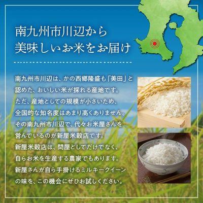 ふるさと納税 南九州市 鹿児島県産ミルキークイーン5kg |  | 02