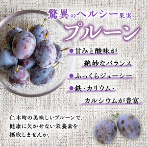 プルーン もり園 北海道産 プルーン【約3kg(500g×6パック)】