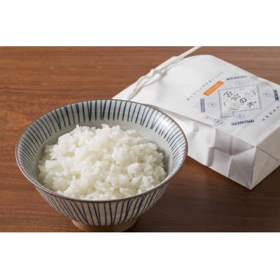 ふるさと納税 苫前町 【令和6年産】特別栽培米ゆめぴりか・ななつぼし食べ比べセット |  | 01