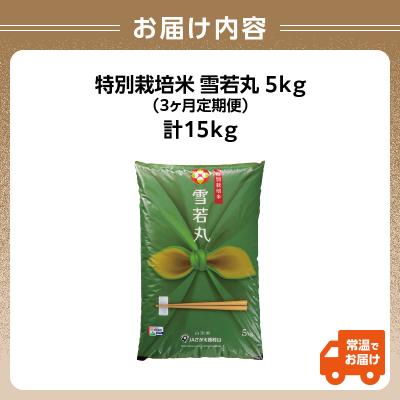 ふるさと納税 大江町  《3ヶ月定期便》特別栽培米 雪若丸 5kg×3ヶ月(計15kg)【山形県産】 001-T10 |  | 02