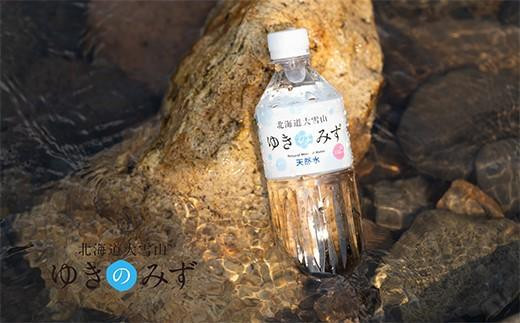 【全3回】【頒布会】北海道大雪山ゆきのみず（550ml×24本入り）1箱＜全3回コース＞