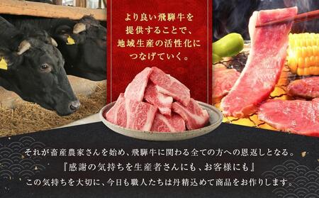 【7月配送】訳あり 飛騨牛焼肉用切り落とし たっぷり1kg （不揃い・大容量）| 訳あり BV027VC07