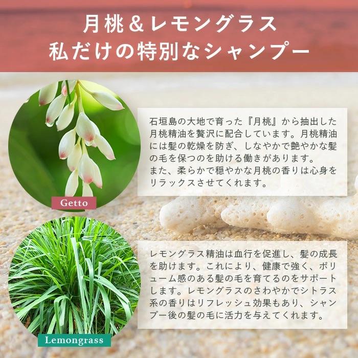 ふるさと納税 石垣市 オーガニックオンリーシャンプー　月桃&レモングラス、よもぎ&ミント 2本セット(パウチタイプ) |  | 02