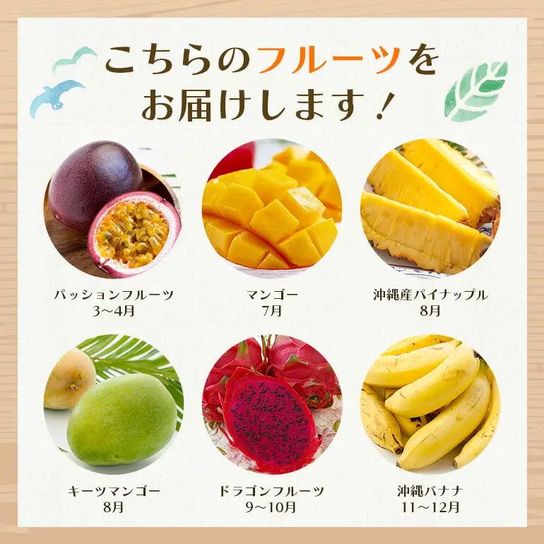 フルーツ 定期便 全 6回 名護パイン園 マンゴー バナナ パッションフルーツ ドラゴンフルーツ パイナップル 178-8