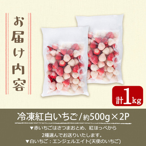 No.646-C 冷凍紅白いちご(約500g×2袋・計約1kg) 国産 鹿児島 日置市 加工品 苺 イチゴ いちご 冷凍 果物 くだもの フルーツ 小粒 冷凍果実 アイス スムージー シロップ ジャム