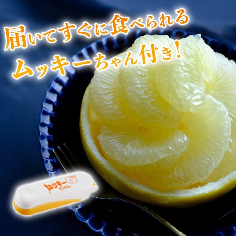 ※便利な皮むき器(ムッキーちゃん)が1個付属します。