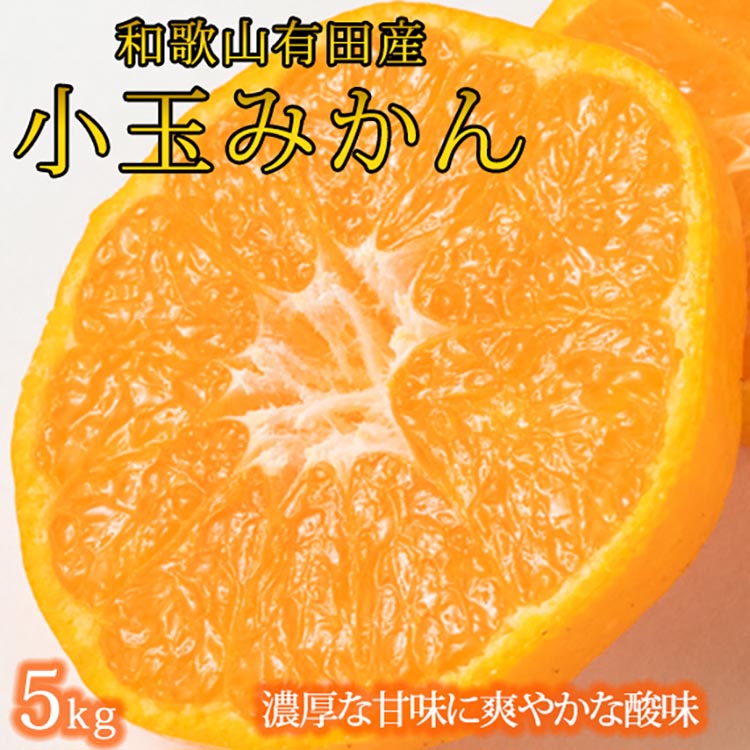 有田の小玉みかん5kg(S～3Sサイズ混合)※2025年11月下旬〜2026年1月下旬頃に順次発送予定