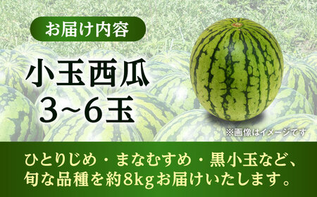 【先行予約】【数量限定】こだま西瓜 1箱約8kg (3L～M 3～6玉入り)【株式会社 GGYパッケージ】[AYAU003]