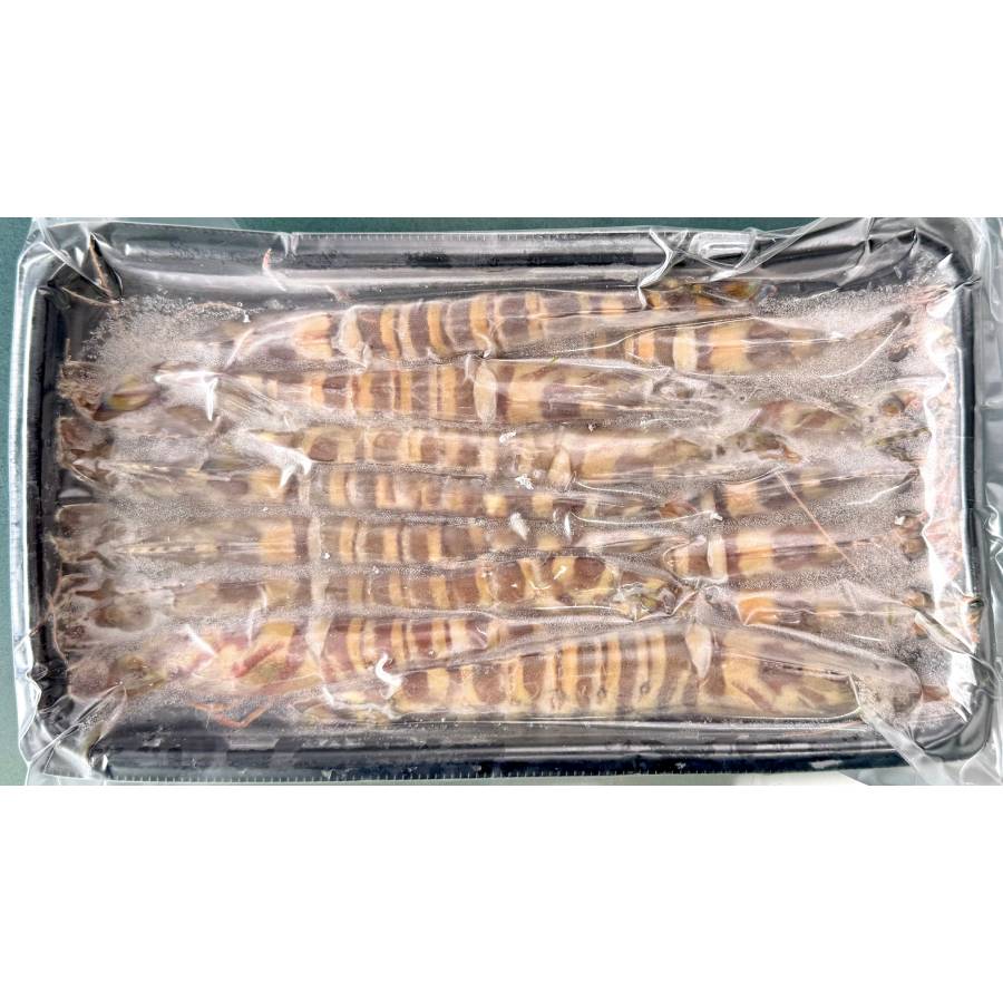 ＜旭水産＞秋穂産活き〆「車海老」冷凍400g【6ヵ月定期便】