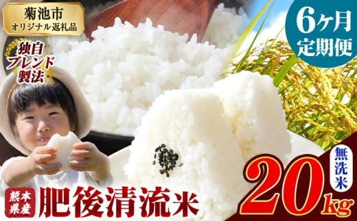 【6ヶ月定期便】熊本県産 無洗米 肥後清流米 20kg 熊本県産 ふるさと納税 精米 米 こめ ふるさとのうぜい コメ お米 おこめ《1月から出荷開始》