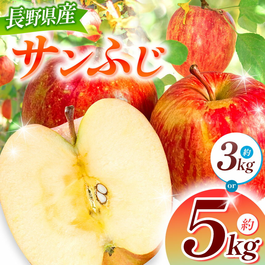 【ふるさと納税】【2025年先行予約】浅野農園 サンふじ 3kg ・ 5kg｜ リンゴ りんご 林檎 果物 くだもの フルーツ 果実 果汁 サンふじ 長野県 松川村 信州 北アルプス