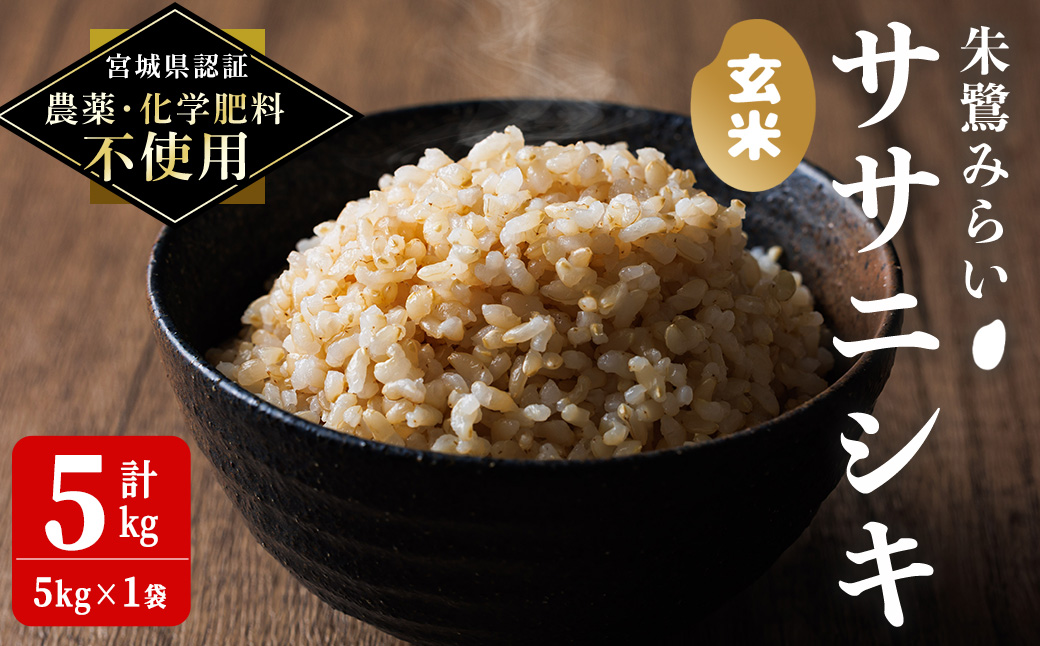 ＜宮城県認証 農薬・化学肥料不使用＞ササニシキ 玄米 5kg (5kg×1袋) 朱鷺みらい 玄米 登米市産 お米 おこめ 米 コメ 白米 ご飯 ごはん おにぎり お弁当 ささにしき 【オーガニックとめネットワーク】tm395