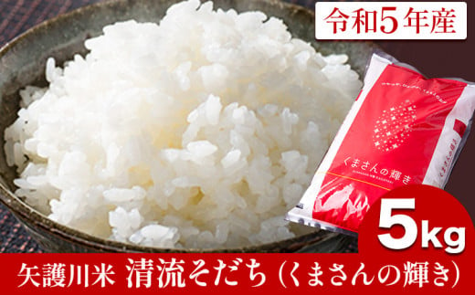 令和5年産 矢護川清流そだち(くまさんの輝き) 5kg 大津町矢護川おいしい米作り研究会 お米 熊本県 大津町《60日以内に出荷予定(土日祝除く)》