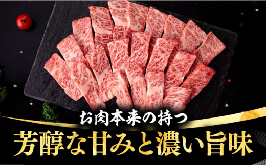 【全3回定期便】 壱岐牛 焼肉用 バラ（カルビ）500g《壱岐市》【株式会社イチヤマ】[JFE022] 定期便 赤身 肉 牛肉 焼肉 焼き肉 バラ カルビ BBQ 84000 84000円