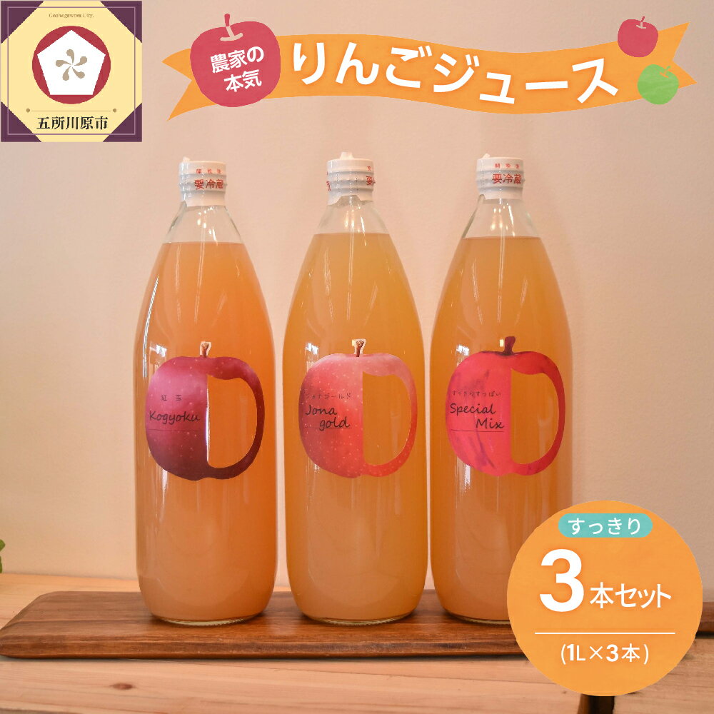 【ふるさと納税】青森 りんごジュース 1L×3本 りんご 果汁 100％ ストレート すっきり 飲み比べ セット 五所川原市 飲料 リンゴジュース
