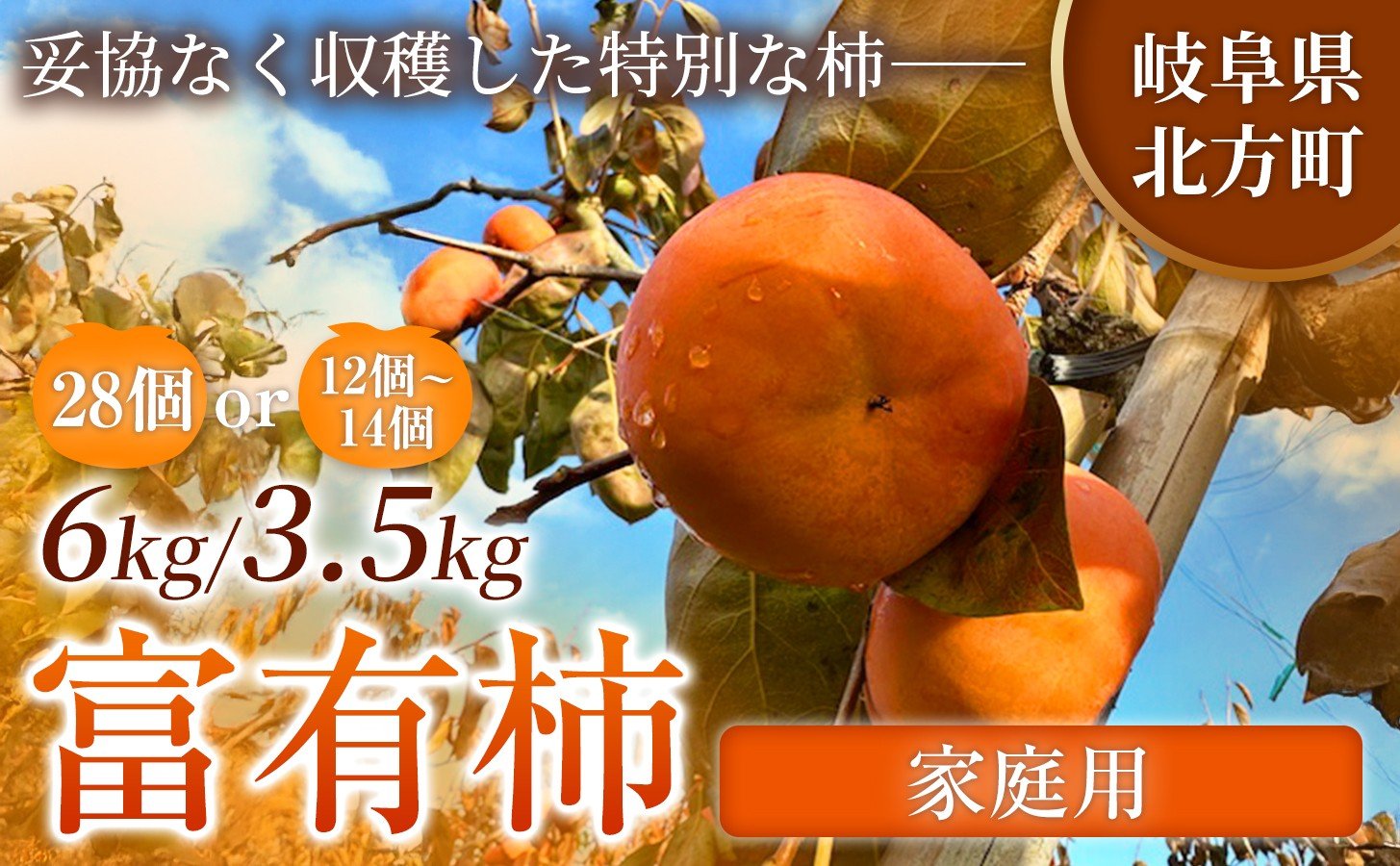 
                  【家庭用】先行予約 令和8年11月中旬順次発送 富有柿 ( 選べる サイズ ・ 容量 ) |【お得にたっぷり楽しむ】 甘みと食感を存分に味わえる 柿 富有柿 フルーツ 果物 完熟 国産 季節の果物 家庭用 自宅用 加工用 料理用 大容量 岐阜県 本巣郡 北方町
                