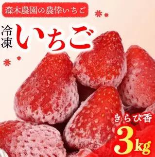 冷凍いちご きらぴ香 3kg 苺 冷凍いちご 【森木農園】