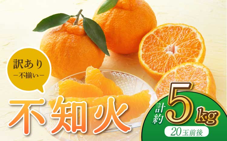 【先行予約】【2025年3月上旬から6月下旬発送予定】【うちやま果樹園】訳あり品 不知火 約5kg