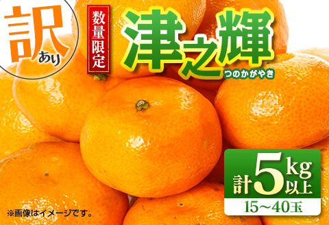 先行予約 訳あり 数量限定 津之輝 つのかがやき 5kg以上 (5kg×1箱) フルーツ 果物 くだもの 柑橘 みかん 国産 食品 おすすめ 訳アリ ご家庭用 ご自宅用 B品 傷 おすそ分け デザート おやつ フルーツサンド ジュース 宮崎県 日南市 送料無料_BB86-23