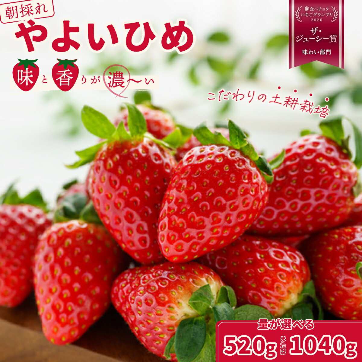 【ふるさと納税】いちご やよいひめ 選べる内容量 いちご2パック/4パック × 1箱｜ 檜山いちご園 香り 大粒 いちご フルーツ 苺 イチゴ 朝採れ 新鮮 旬 フレッシュ 採れたて 糖度 酸味 バランス 濃厚 甘い 果肉 品質 健康 果物 デザート 贈り物 茨城県 常陸太田