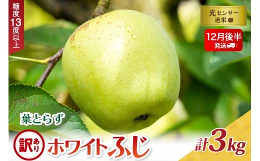 【2025年12月後半発送】【訳あり】葉とらずホワイトふじ3kg