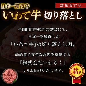 ＼3ヶ月連続 定期便／ 切り落とし 肉 牛肉 小分け 真空冷凍 いわて牛 500g (総計 1,500g) 岩手県産 和牛 牛肉 黒毛 和牛 切り落とし肉 大容量 肉 すき焼き 肉じゃが 煮込み 煮物