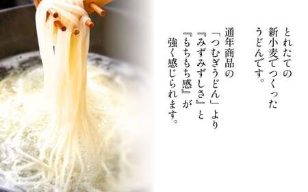 【期間限定12月まで】贈答箱入り つむぎや 新小麦うどん 110g×40袋 | うどん 乾麺 