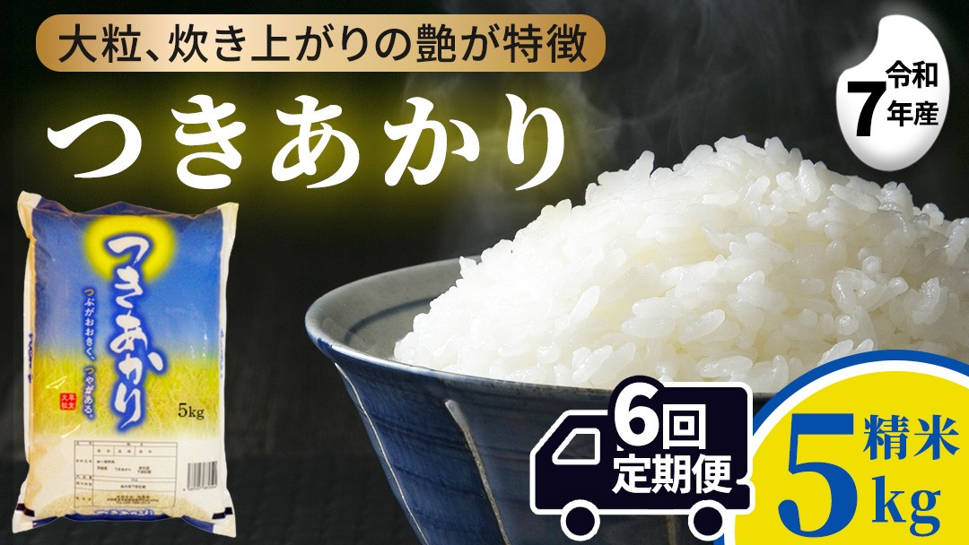
                  【 6ヵ月定期便 】つきあかり 5kg ×6回 令和7年 精米 産地直送 茨城県 城里町 新米 精白米 米 ご飯 こしひかり 米 白米 精米 単一原料米 (AX076)
                