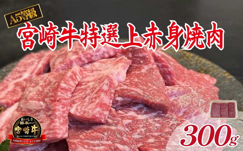 【新鮮チルド発送!!】A5等級宮崎牛特選上赤身焼肉 300g（黒毛和牛 牛肉 宮崎牛 赤身 焼肉用 宮崎県）