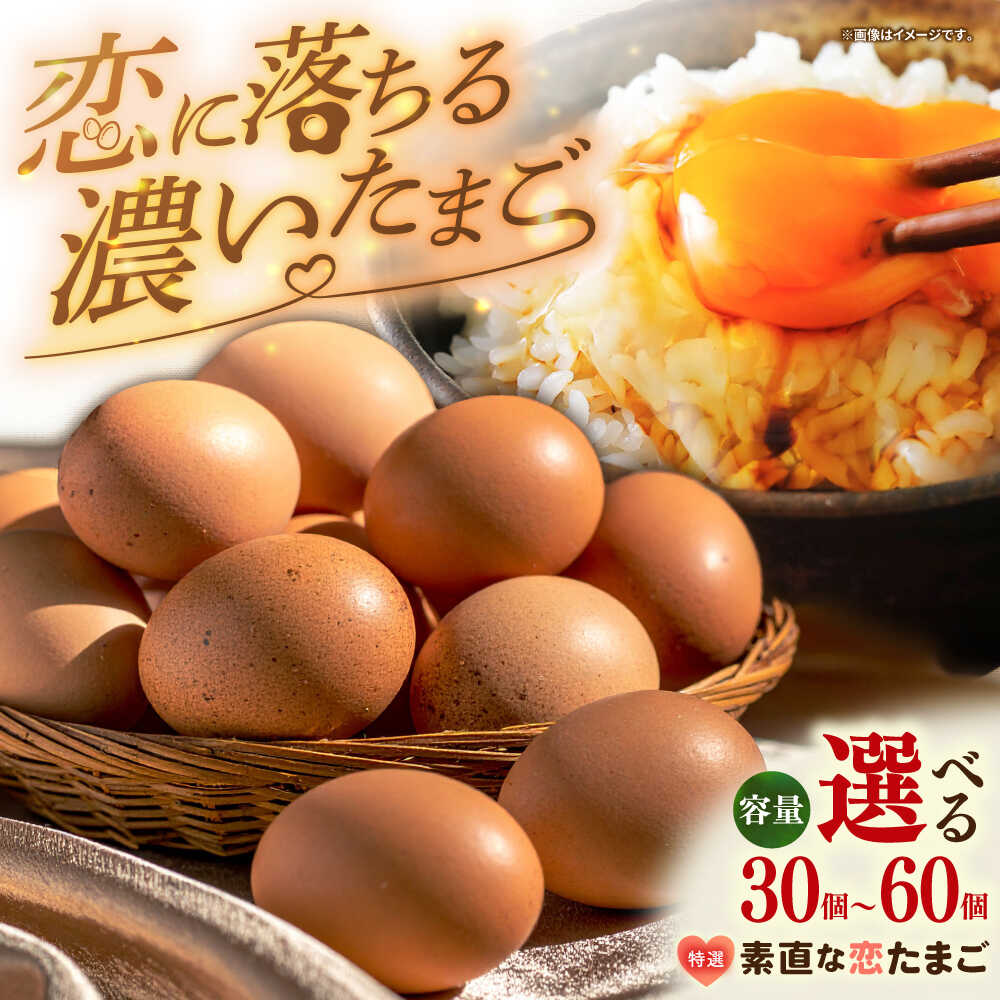 特選素直な恋たまご60個入りギフト 壱岐市