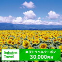 【ふるさと納税】山梨県北杜市の対象施設で使える楽天トラベルクーポン 寄付額100,000円 体験