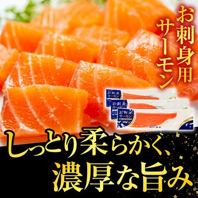 ふるさと納税 根室市 お刺身トラウトサーモン1kg、塩さばフィレ15P B-09054 |  | 01