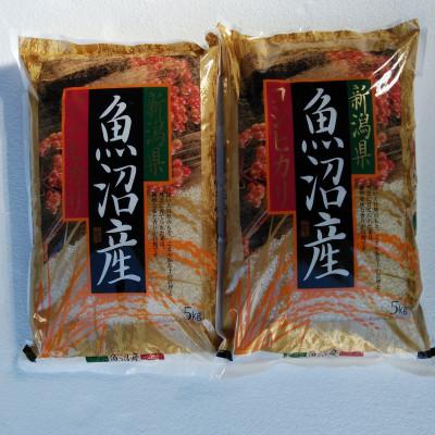 ふるさと納税 十日町市 魚沼産コシヒカリ10kg(5kg×2袋)精米