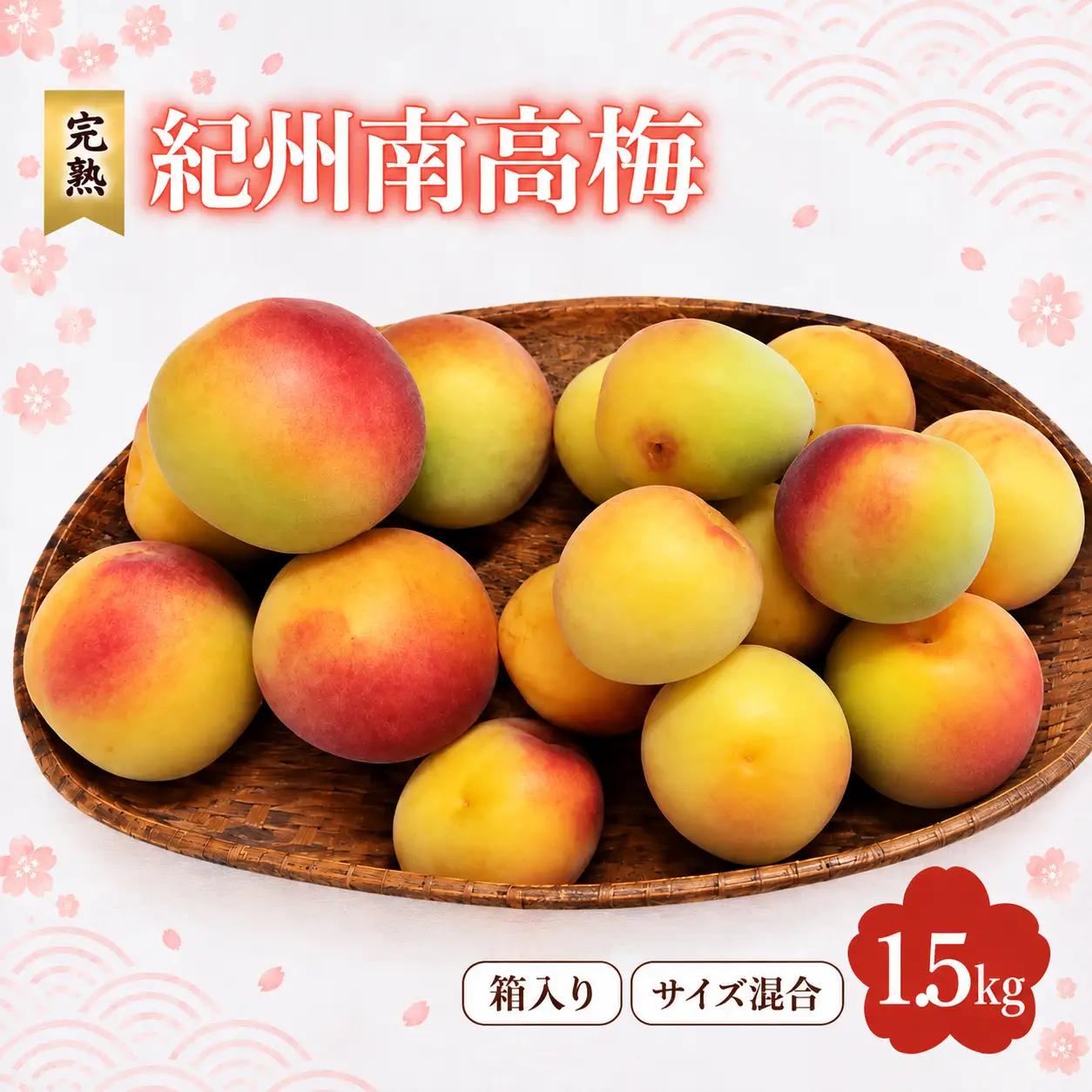 【2027年分先行予約】完熟梅 紀州南高梅 1.5kg サイズ混合（箱込み）※2027年6月中旬～順次発送予定 /  田辺市 果物 果実 梅 生梅 梅干し うめぼし 梅酒 梅ジュース 梅シロップ 手作り 自家製 新鮮【sny005-1】