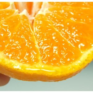 デコ不知火[約2.8kg]和歌山県有田産春みかん(サイズおまかせ)【1223500】