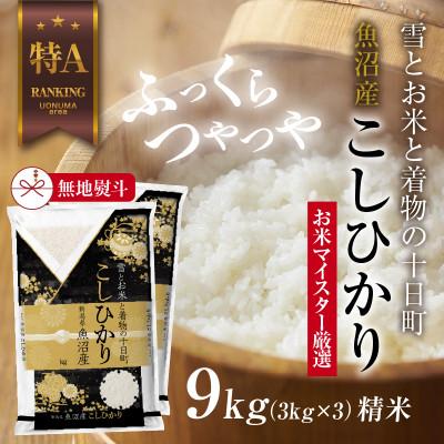 ふるさと納税 十日町市 【無地のし】 魚沼産 コシヒカリ 3kg ×3袋 計 9kg 新潟県 美味しい炊き方ガイド付き