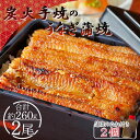 【ふるさと納税】炭火手焼のうなぎ蒲焼 2尾(合計約260g) 蒲焼のたれ付き - 送料無料 鰻 ウナギ タレ付き 夕飯 夕食 ご飯のお供 うな丼 うな重 丼ぶり ひつまぶし おつまみ 養殖 土用の丑の日 スタミナ 国産 高知県 香南市【冷凍】