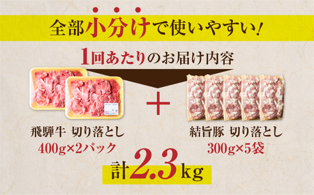 定期便 全3回 訳あり 飛騨牛 切落し400g×2パック 結旨豚 切り落とし 300g×5袋 全部 小分け 計約2.3kg 白川郷 もも ウデ バラ ミックス 定期配送 牛肉 豚肉 お肉 国産 白川村