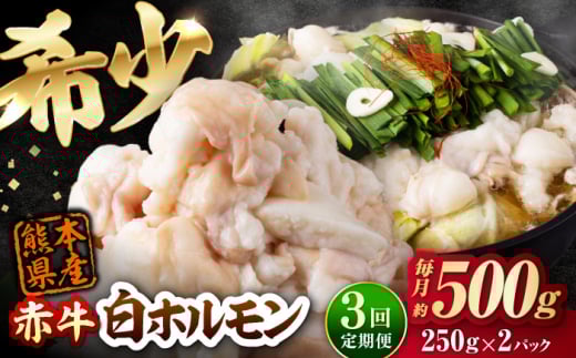 【全3回定期便】 赤牛 ホルモン 500g（250g×2パック） / お肉 肉 牛肉 あか牛 小腸 シロホルモン もつ 熊本県産 冷凍【五右衛門フーズ熊本店】 [AYBV007]