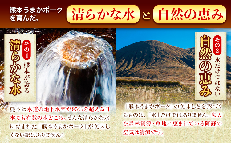 豚肉 小分け しゃぶしゃぶ 豚バラ 豚ロース 熊本 うまか ポーク スライス トレー 3kg《9月上旬-9月末頃出荷》 お楽しみセット 豚しゃぶ 豚バラ肉 うまかポーク 3種 豚バラエティー セット 
