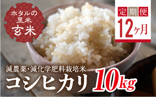 
                   ＜定期便12ヶ月＞ 令和8年産米【ホタルの里米】環境に配慮し農薬を減らした栽培米 コシヒカリ玄米10kg  F4D-2314
                